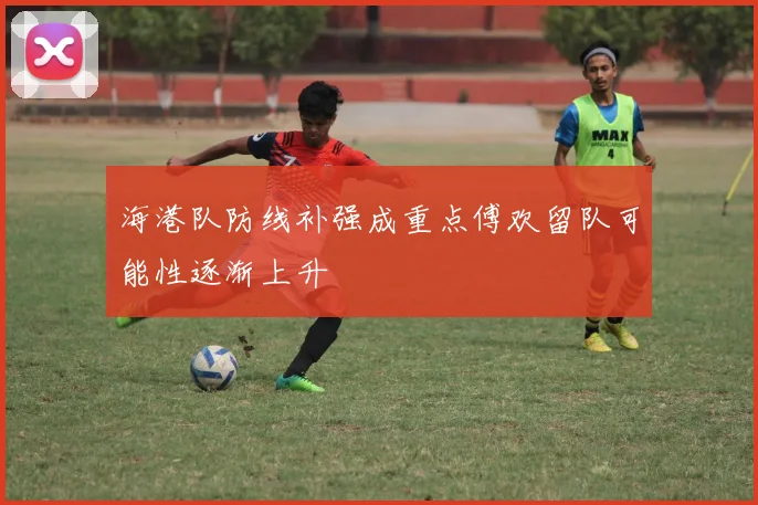 海港队防线补强成重点傅欢留队可能性逐渐上升